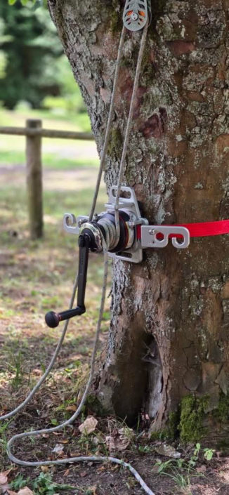 Am Baum montiert