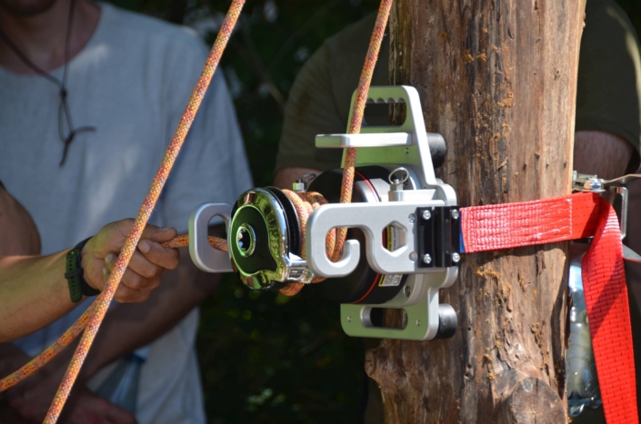 Rigging in der Baumpflege